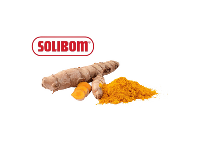 ACAFRAO DAS INDIAS PCT 250 GR SOLIBOM