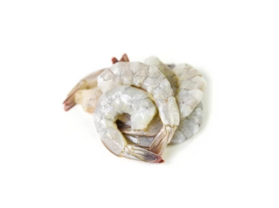 CAMARAO S CABECA 51 60 CONG. ULTRAFISH