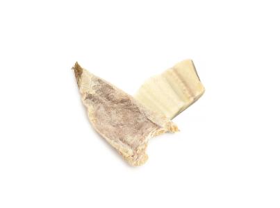BAC. DEM.POSTA FINA CONG.CX5KG ULTRAFISH