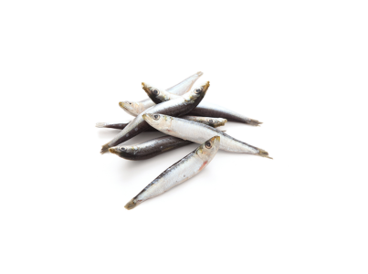 SARDINHA PEQ. (PETINGA) CX 3KG CONG