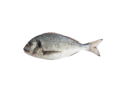 Dourada