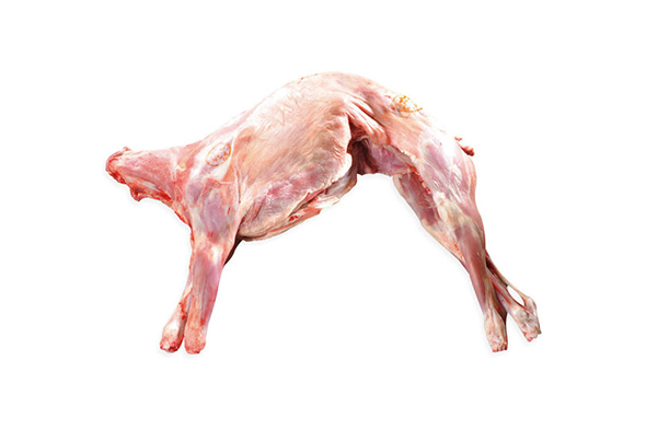 CABRITO INTEIRO CONGELADO