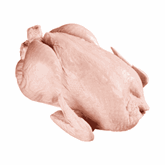 Frango e Galinha