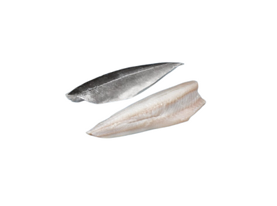 FILETE ESCAMUDO (FOGONERO) CX6K CONG.EUR