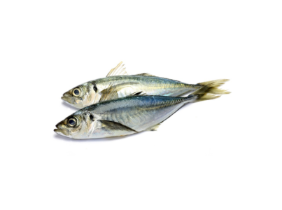 CARAPAU ASSAR 5/7 CONG CX 6KG CONG.EURO