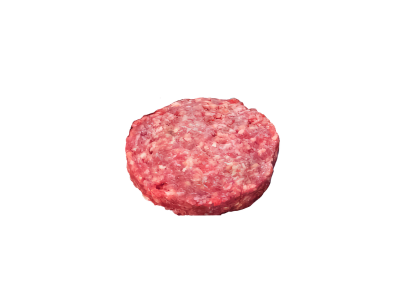 HAMBUR. BOV. CONG.TEMPERADO 100G PASFIS