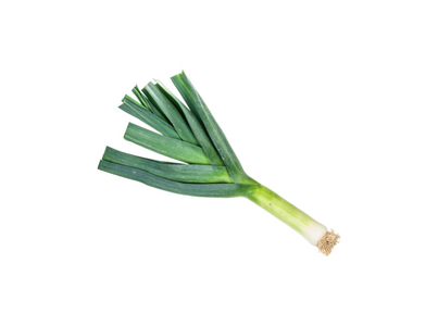 ALHO FRANCES/VERDE