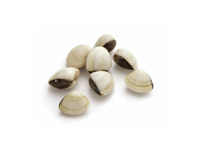 AMÊIJOA VIETNAME 40/60 CONGELADOS