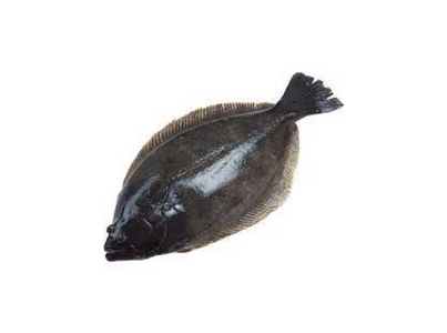 SOLHA 0.2 0.4KG CX 6KG CONG. EUROCHEFE