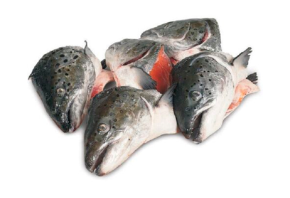 CABEÇAS DE SALMÃO CONGELADAS EUROCHEFE CX 6KG