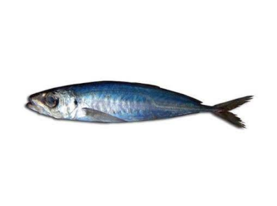 CARAPAU ASSAR NEGRAO 5/7 CX6KG CONG.EURO