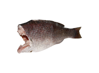 PERCA DO NILO S C 3 7 KG CX 6KG CONG EUR