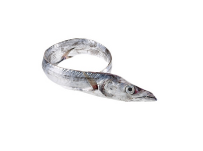 PEIXE ESP. BRANCO CX + 6 KG CONG