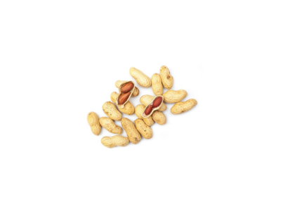 AMENDOIM TORRADO C/CASCA 1KG FRUTOP