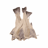 Bacalhau
