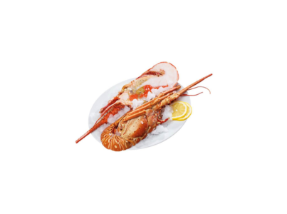 LAGOSTA COZ METADES 390 450G CONG CX10KG