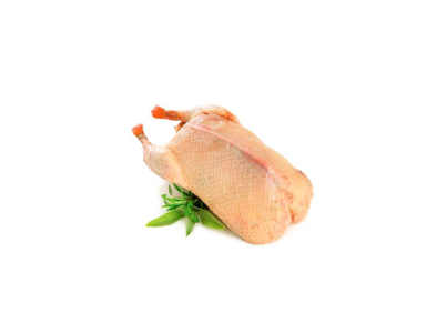 PATO C/MIUDOS CONGELADO