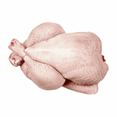 Pato