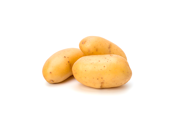 BATATA BRANCA