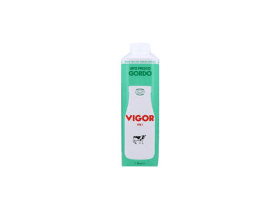 LEITE PAST GORDO 1L VIGOR (6)